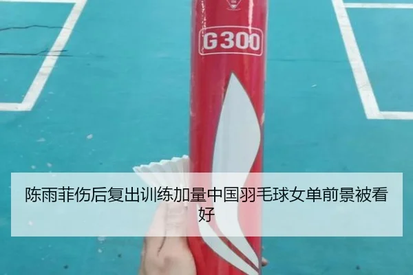 陈雨菲伤后复出训练加量中国羽毛球女单前景被看好